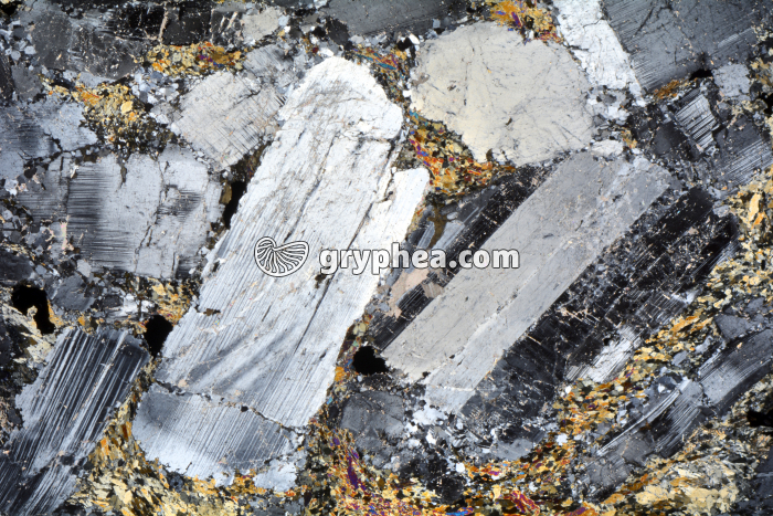 Métagabbro à Hornblende LPA x3,5 - gryphea.com